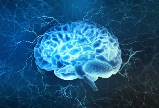 Πόσο «ηθικός» είναι ο εγκέφαλός μας;