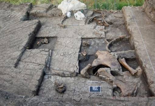 «Σφαγείο ελεφάντων» ηλικίας 300.000 ετών αποκαλύφθηκε στη Μεγαλόπολη