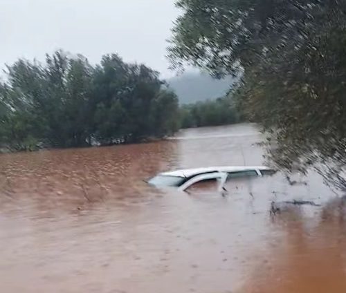 <b>Navigation tip:</b> Hover mouse on top of the right or left side of the image to see the next or previous image respectively.<br /><br />You are browsing images from the article:<br /><span class="sigProPopupCaption">Πληγωμένη η κεντρική και νoτιοδυτική Λακωνία: Δύσκολη η επόμενη ημέρα</span>