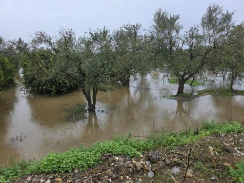 <b>Navigation tip:</b> Hover mouse on top of the right or left side of the image to see the next or previous image respectively.<br /><br />You are browsing images from the article:<br /><span class="sigProPopupCaption">Πληγωμένη η κεντρική και νoτιοδυτική Λακωνία: Δύσκολη η επόμενη ημέρα</span>