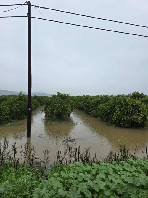 <b>Navigation tip:</b> Hover mouse on top of the right or left side of the image to see the next or previous image respectively.<br /><br />You are browsing images from the article:<br /><span class="sigProPopupCaption">Πληγωμένη η κεντρική και νoτιοδυτική Λακωνία: Δύσκολη η επόμενη ημέρα</span>