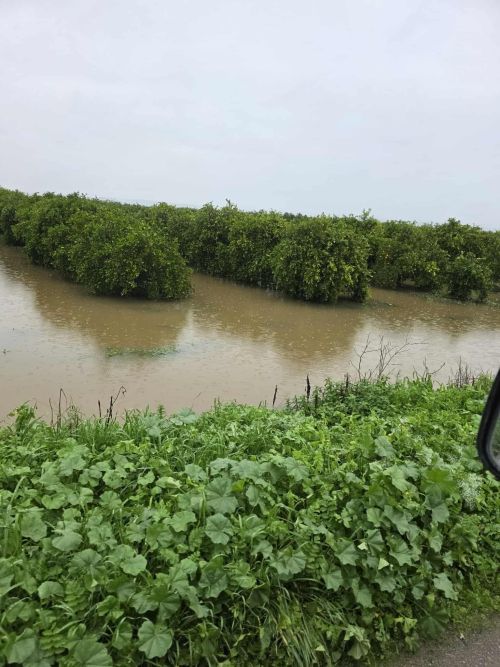 <b>Navigation tip:</b> Hover mouse on top of the right or left side of the image to see the next or previous image respectively.<br /><br />You are browsing images from the article:<br /><span class="sigProPopupCaption">Πληγωμένη η κεντρική και νoτιοδυτική Λακωνία: Δύσκολη η επόμενη ημέρα</span>