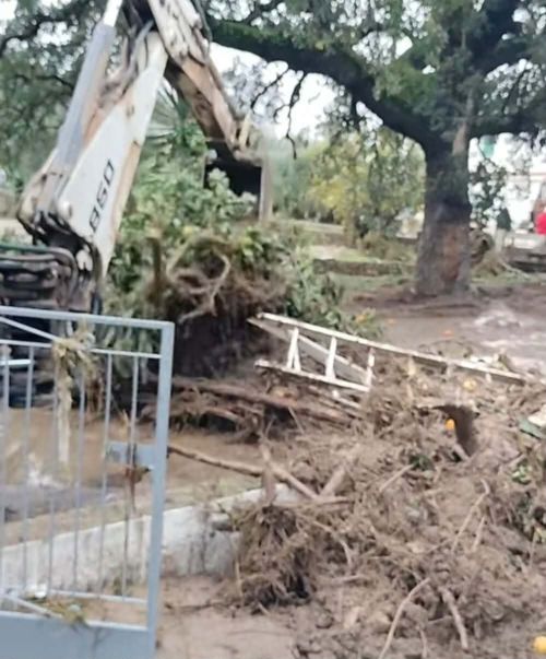 <b>Navigation tip:</b> Hover mouse on top of the right or left side of the image to see the next or previous image respectively.<br /><br />You are browsing images from the article:<br /><span class="sigProPopupCaption">Πληγωμένη η κεντρική και νoτιοδυτική Λακωνία: Δύσκολη η επόμενη ημέρα</span>