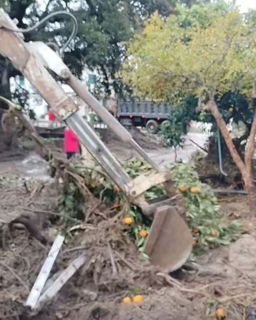 <b>Navigation tip:</b> Hover mouse on top of the right or left side of the image to see the next or previous image respectively.<br /><br />You are browsing images from the article:<br /><span class="sigProPopupCaption">Πληγωμένη η κεντρική και νoτιοδυτική Λακωνία: Δύσκολη η επόμενη ημέρα</span>