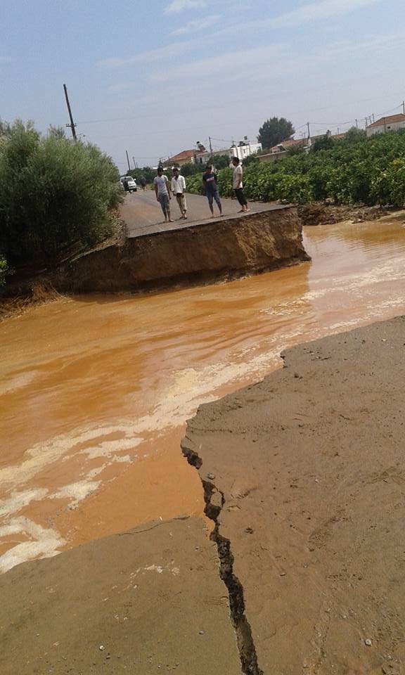 14212795 639164766258961 1322886112140093105 n