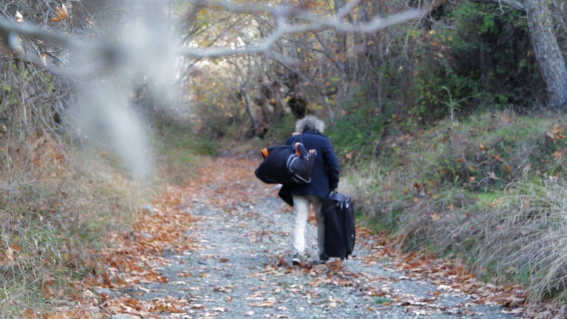 25035235 1831207486903672 1605823406 o