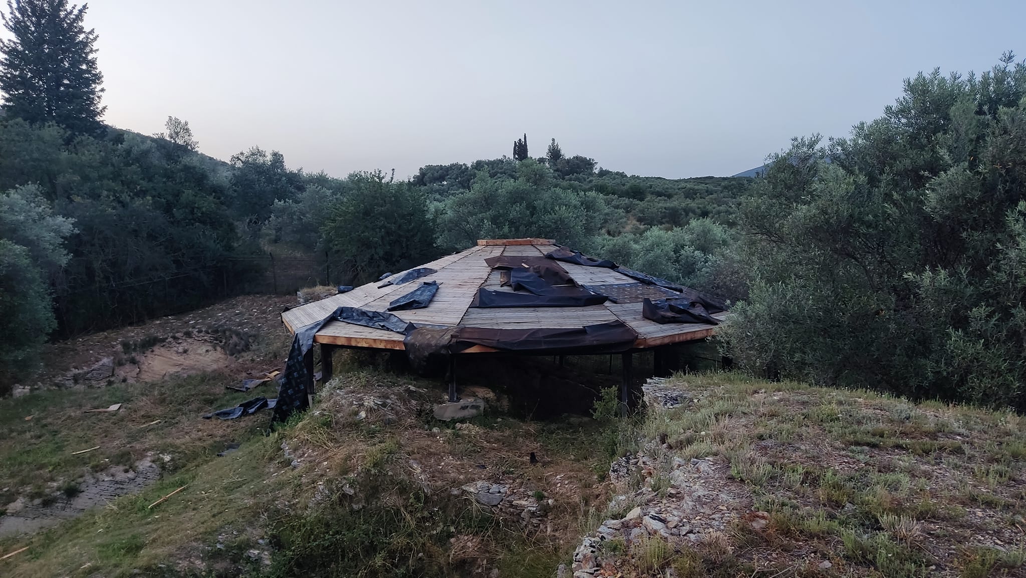 447725113 10212334060703687 976753824662038459 n