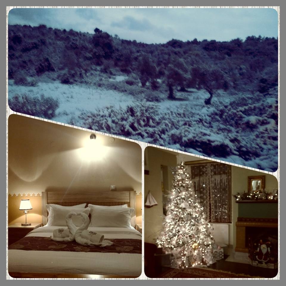 535210 10207563009694464 21937129673297750 n