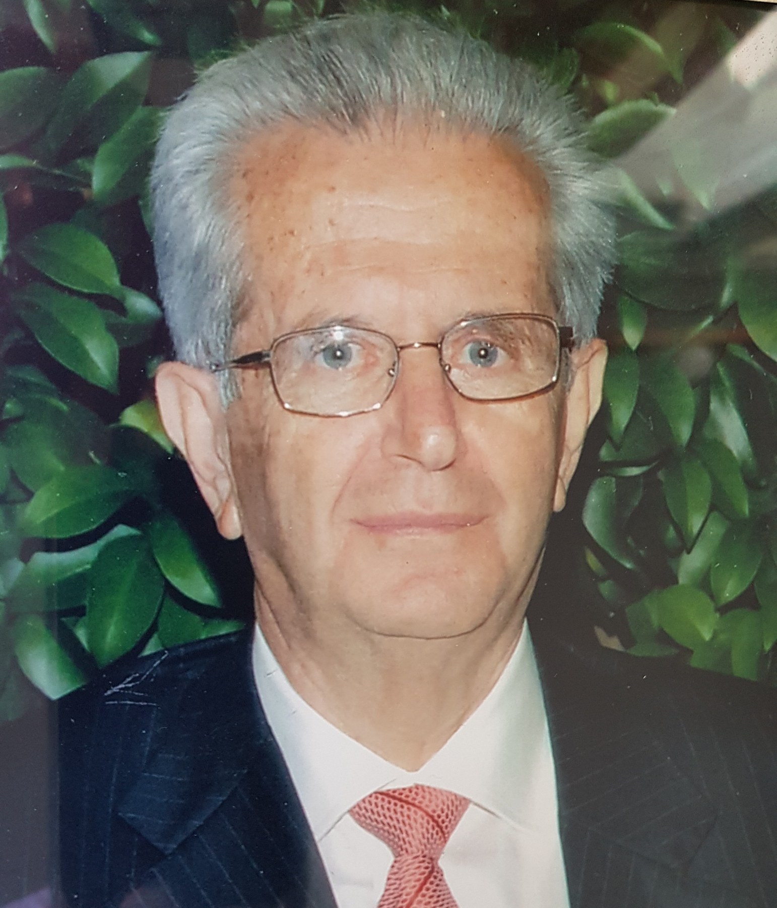 IMG ad3ca24b8ca93f3fcb319c1c0978b910 V