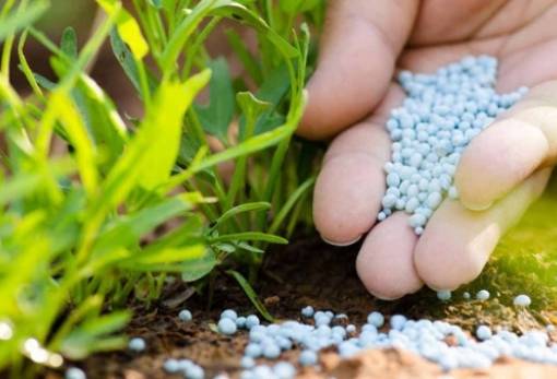 Eurostat: Μειώθηκε κατά 10% η χρήση λιπασμάτων στη γεωργία της ΕΕ