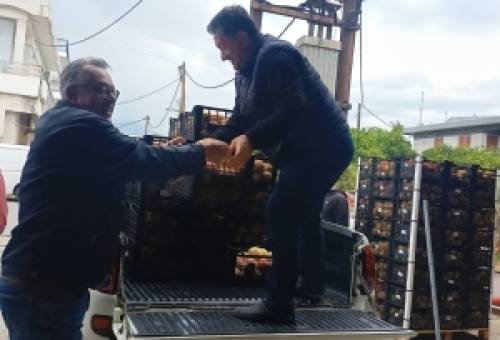 Διανομή 13 τόνων ροδάκινων σε δομές και ευάλωτες ομάδες πολιτών από τον Δ. Σπάρτης