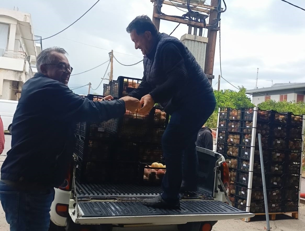 Διανομή 13 τόνων ροδάκινων σε δομές και ευάλωτες ομάδες πολιτών από τον Δ. Σπάρτης