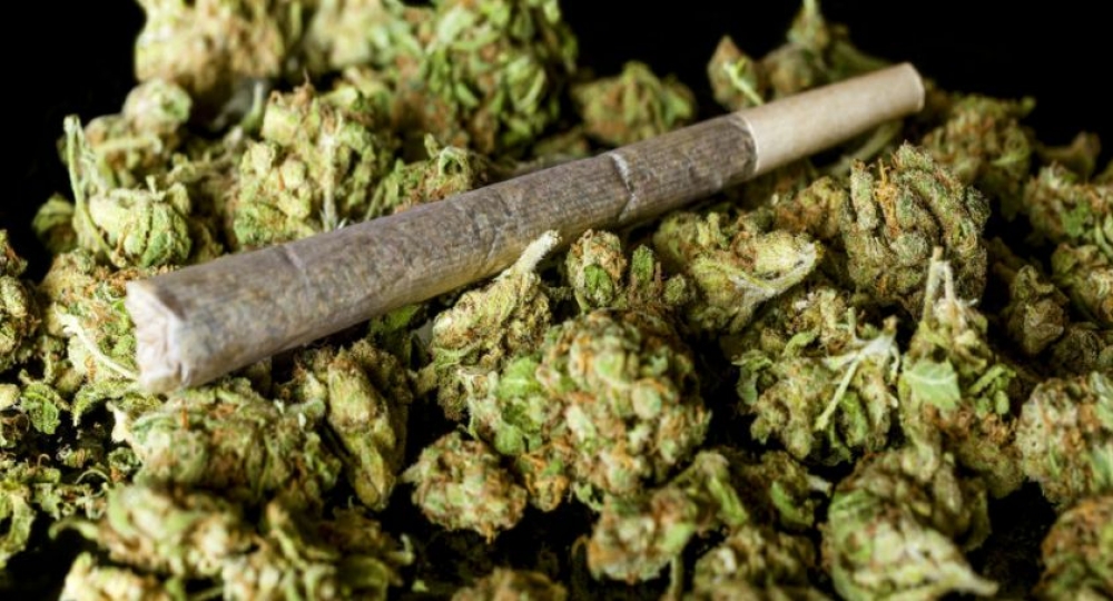 Δυο συλλήψεις για κάνναβη στο Δήμο Σπάρτης