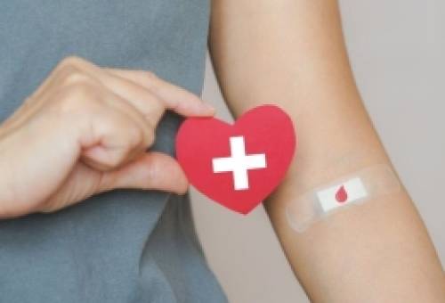 Αλυσίδα ζωής στην Σπάρτη με την 3η εθελοντική αιμοδοσία