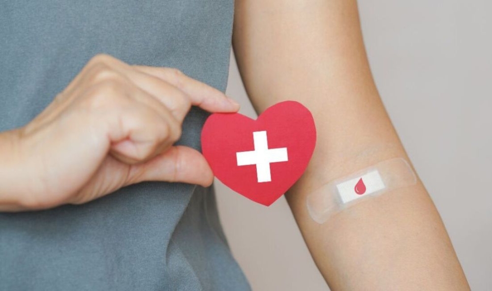 &Alpha;&lambda;&upsilon;&sigma;ί&delta;&alpha; &zeta;&omega;ή&sigmaf; &sigma;&tau;&eta;&nu; &Sigma;&pi;ά&rho;&tau;&eta; &mu;&epsilon; &tau;&eta;&nu; 3&eta; &epsilon;&theta;&epsilon;&lambda;&omicron;&nu;&tau;&iota;&kappa;ή &alpha;&iota;&mu;&omicron;&delta;&omicron;&sigma;ί&alpha;