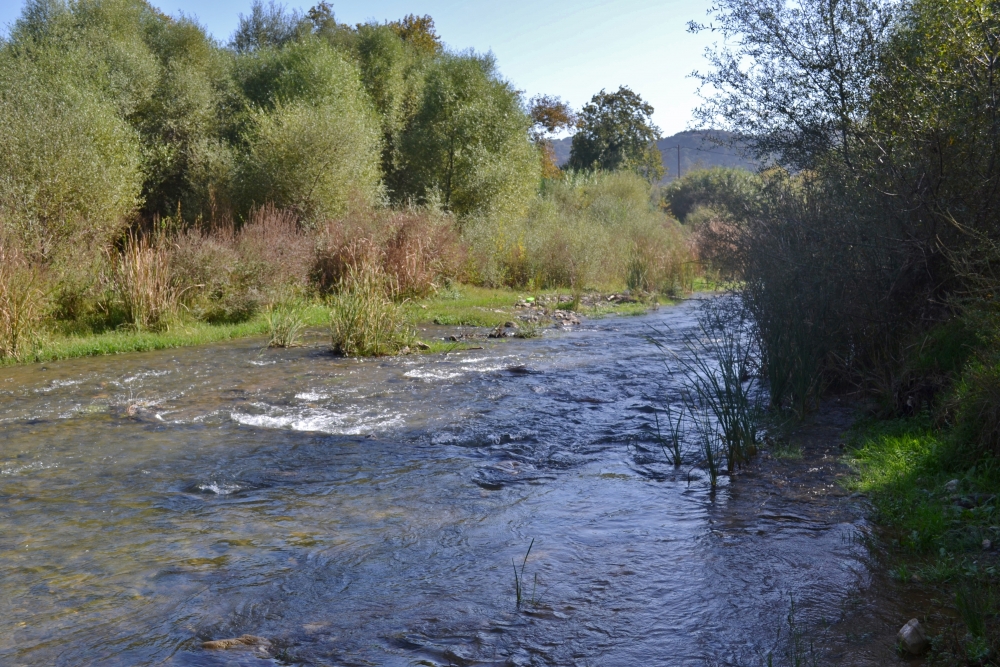 &Sigma;&upsilon;&nu;&tau;&epsilon;&tau;&alpha;&gamma;&mu;έ&nu;&eta; &delta;&rho;ά&sigma;&eta; &gamma;&iota;&alpha; &tau;&eta;&nu; &pi;&rho;&omicron;&sigma;&tau;&alpha;&sigma;ί&alpha; &tau;&omicron;&upsilon; &nu;&epsilon;&rho;&omicron;ύ &sigma;&tau;&eta; &Lambda;&alpha;&kappa;&omega;&nu;ί&alpha; (VIDEO)