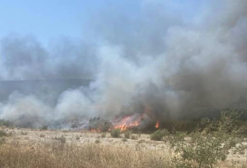 Φωτιά στο Φιλήσι Δ. Ευρώτα (ΣΥΝΕΧΗΣ ΕΝΗΜΕΡΩΣΗ)