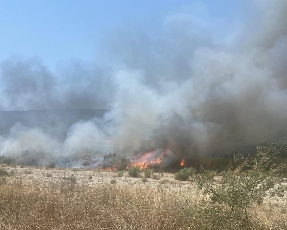 &Phi;&omega;&tau;&iota;ά &sigma;&tau;&omicron; &Phi;&iota;&lambda;ή&sigma;&iota; &Delta;. &Epsilon;&upsilon;&rho;ώ&tau;&alpha; (&Sigma;&Upsilon;&Nu;&Epsilon;&Chi;&Eta;&Sigma; &Epsilon;&Nu;&Eta;&Mu;&Epsilon;&Rho;&Omega;&Sigma;&Eta;)