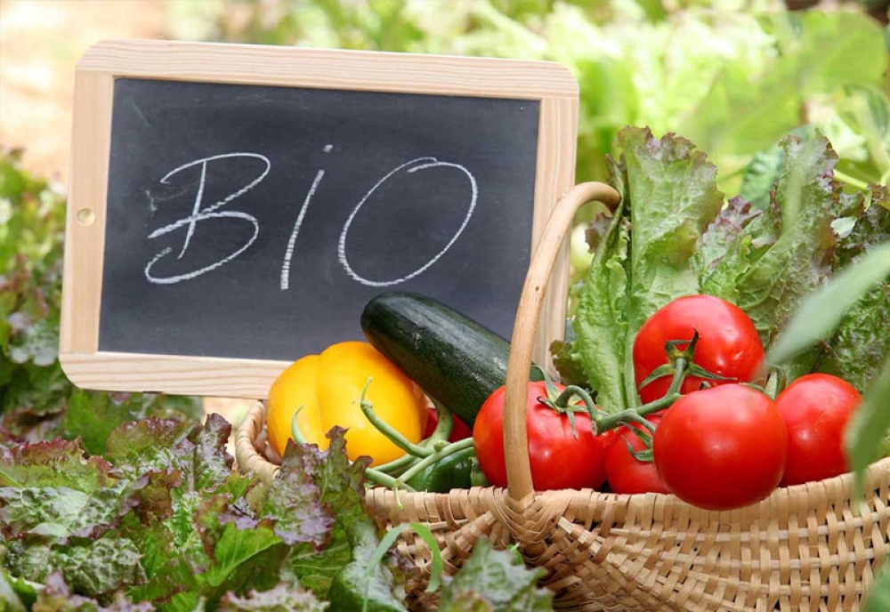 &Beta;&iota;&omicron;&lambda;&omicron;&gamma;&iota;&kappa;ά: &Tau;&iota; &alpha;&lambda;&lambda;ά&zeta;&epsilon;&iota; &mu;&epsilon; &nu;έ&alpha; &alpha;&pi;ό&phi;&alpha;&sigma;&eta; &tau;&omicron;&upsilon; &Upsilon;&pi;&Alpha;&Alpha;&Tau;