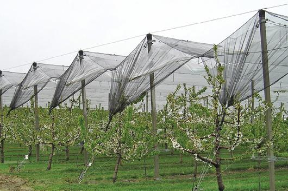 &Omicron;&mu;&pi;&rho;έ&lambda;&alpha; &pi;&rho;&omicron;&sigma;&tau;&alpha;&sigma;ί&alpha;&sigmaf; &gamma;&iota;&alpha; &tau;&iota;&sigmaf; &kappa;&alpha;&lambda;&lambda;&iota;έ&rho;&gamma;&epsilon;&iota;&epsilon;&sigmaf;: &Upsilon;&pi;&epsilon;&gamma;&rho;ά&phi;&eta; &eta; &sigma;ύ&mu;&beta;&alpha;&sigma;&eta; &chi;&alpha;&lambda;&alpha;&zeta;&iota;&kappa;ή&sigmaf; &pi;&rho;&omicron;&sigma;&tau;&alpha;&sigma;ί&alpha;&sigmaf; &alpha;&pi;ό &tau;&omicron;&nu; &Epsilon;&Lambda;&Gamma;&Alpha;