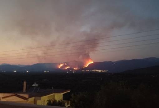 Μεγάλη φωτιά στην περιοχή Μεταμόρφωσης Λακωνίας (ΦΩΤΟ)