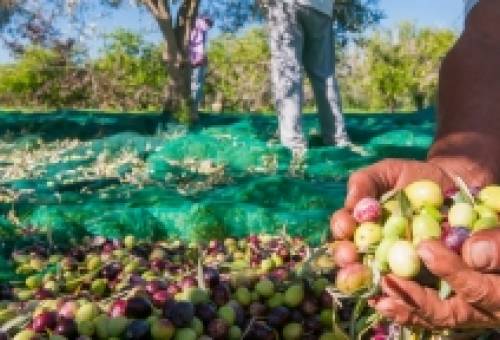 Παγκόσμιο σήμα Τουρισμού διεκδικούν μικρές περιοχές της Πελοποννήσου