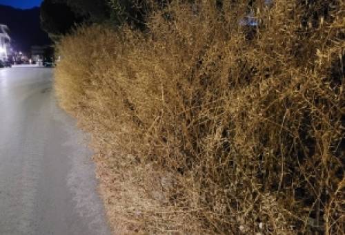 Έφτασαν στον δρόμο τα ξερόχορτα… (ΦΩΤΟ)