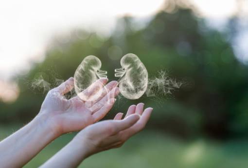 Απλές αλλαγές για να αποτρέψεις τις πέτρες στα νεφρά