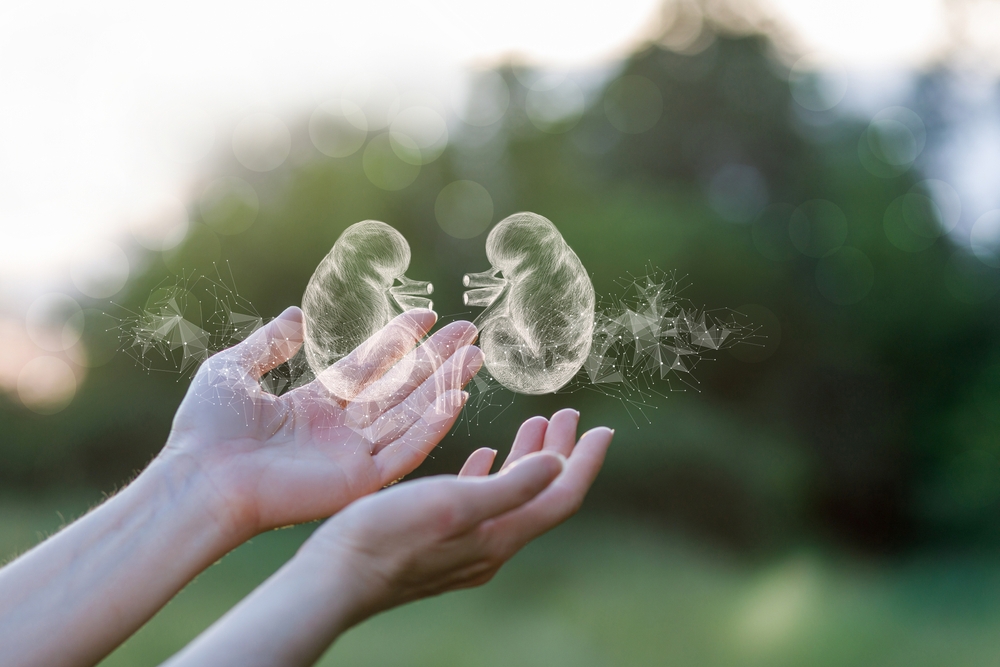 &Alpha;&pi;&lambda;έ&sigmaf; &alpha;&lambda;&lambda;&alpha;&gamma;έ&sigmaf; &gamma;&iota;&alpha; &nu;&alpha; &alpha;&pi;&omicron;&tau;&rho;έ&psi;&epsilon;&iota;&sigmaf; &tau;&iota;&sigmaf; &pi;έ&tau;&rho;&epsilon;&sigmaf; &sigma;&tau;&alpha; &nu;&epsilon;&phi;&rho;ά