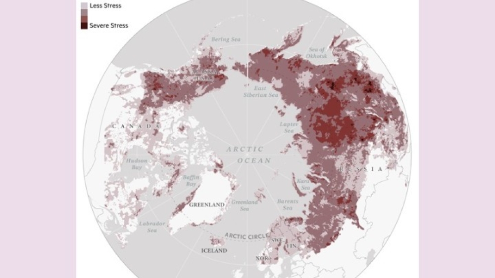 &Mu;&epsilon;&lambda;έ&tau;&eta; &epsilon;&nu;&tau;&omicron;&pi;ί&zeta;&epsilon;&iota; &pi;&epsilon;&rho;&iota;&omicron;&chi;έ&sigmaf; &sigma;&epsilon; &Alpha;&lambda;ά&sigma;&kappa;&alpha; &kappa;&alpha;&iota; &Sigma;&iota;&beta;&eta;&rho;ί&alpha; &pi;&omicron;&upsilon; έ&chi;&omicron;&upsilon;&nu; &upsilon;&pi;&omicron;&sigma;&tau;&epsilon;ί &laquo;&kappa;&lambda;&iota;&mu;&alpha;&tau;&iota;&kappa;ό &sigma;&tau;&rho;&epsilon;&sigmaf;&raquo;