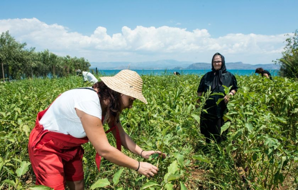 Η αγρότισσα δεν ζητά ελεημοσύνη, ζητά δικαιοσύνη