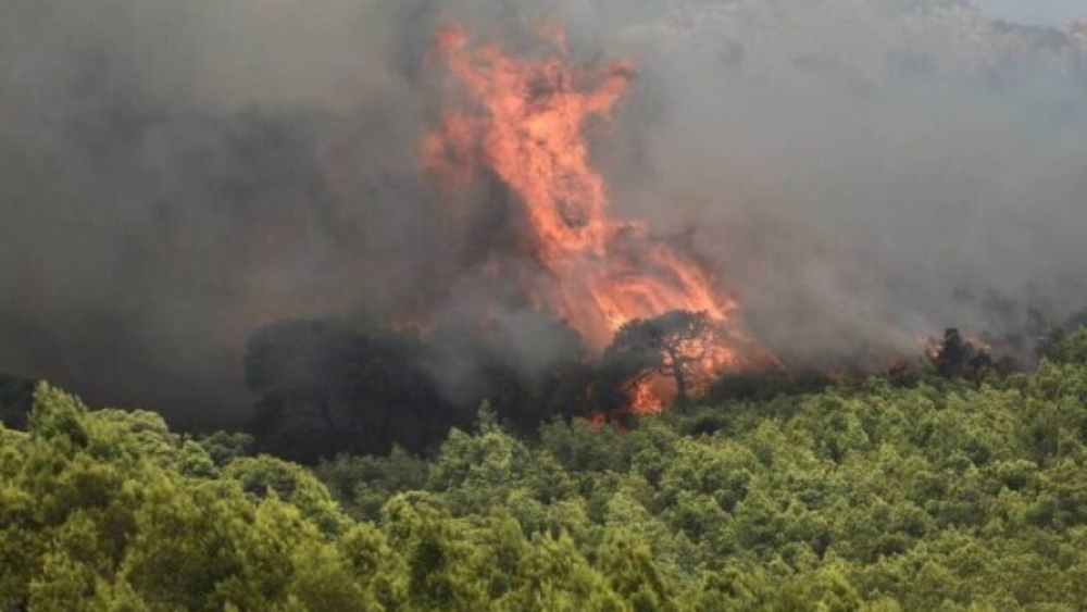 &Epsilon;&mu;&pi;&rho;&eta;&sigma;&mu;ό&sigmaf; &alpha;&pi;ό &alpha;&mu;έ&lambda;&epsilon;&iota;&alpha; &eta; &phi;&omega;&tau;&iota;ά &pi;&omicron;&upsilon; &xi;έ&sigma;&pi;&alpha;&sigma;&epsilon; &sigma;&tau;&omicron;&nu; &Tau;&alpha;ΰ&gamma;&epsilon;&tau;&omicron;