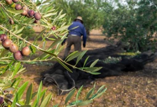 «Ελληνικός Αγροτικός Τομέας και Ευρώπη: Βιωσιμότητα και Προοπτικές»