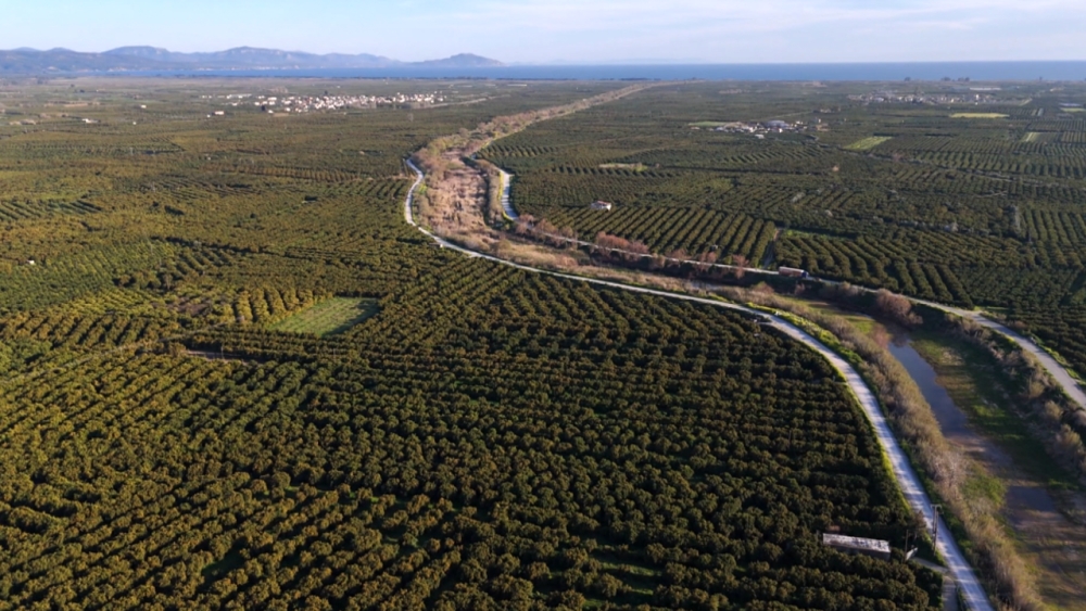 &Alpha;&nu;&tau;&iota;&pi;&lambda;&eta;&mu;&mu;&upsilon;&rho;&iota;&kappa;ή &laquo;&alpha;&sigma;&pi;ί&delta;&alpha;&raquo; &mu;&epsilon; 500 &chi;&iota;&lambda;. &epsilon;&upsilon;&rho;ώ &sigma;&tau;&eta; &nu;&omicron;&tau;&iota;&omicron;&alpha;&nu;&alpha;&tau;&omicron;&lambda;&iota;&kappa;ή &Lambda;&alpha;&kappa;&omega;&nu;ί&alpha;