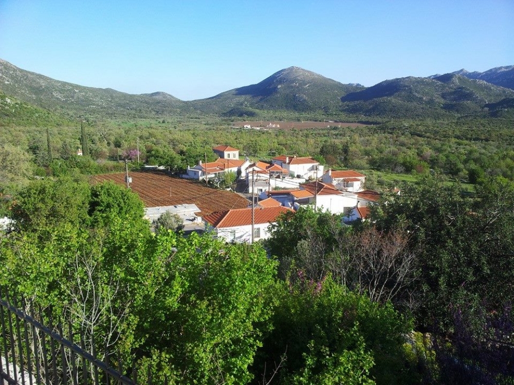 &Gamma;&iota;&omicron;&rho;&tau;ά&zeta;&omicron;&upsilon;&nu; &tau;&eta;&nu; &Alpha;&gamma;ί&alpha; &Mu;&alpha;&rho;ί&nu;&alpha; &mu;&epsilon; &gamma;&lambda;έ&nu;&tau;&iota; &sigma;&tau;&alpha; &Pi;&iota;&sigma;&tau;ά&mu;&alpha;&tau;&alpha;
