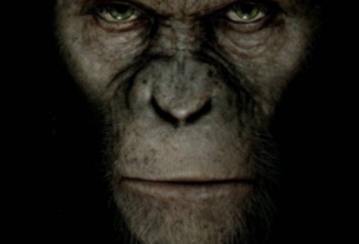 Πως να εκπαιδεύσετε το δράκο σας 2, Φύλακες του Γαλαξία & Ο πλανήτης των πιθήκων: Η αυγή