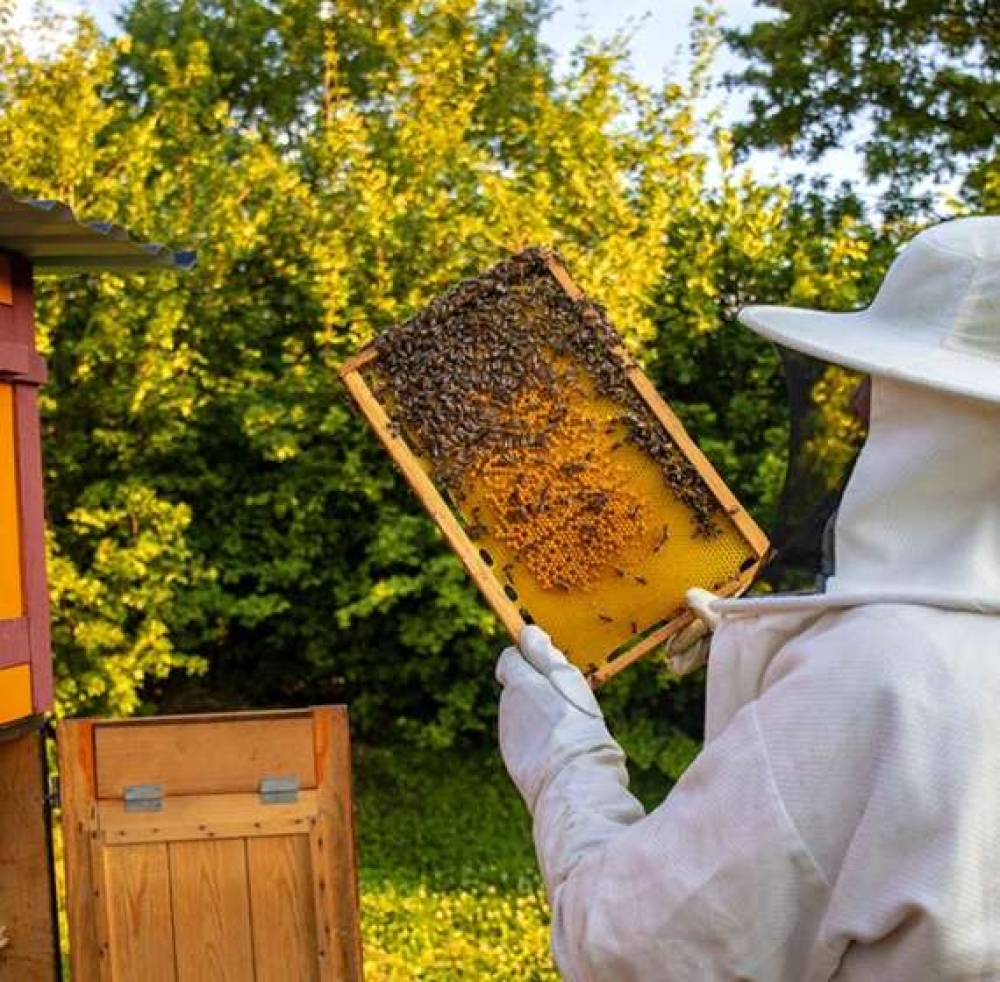 &Kappa;ί&nu;&delta;&upsilon;&nu;&omicron;&sigmaf; &gamma;&iota;&alpha; &tau;&eta;&nu; &epsilon;&lambda;&lambda;&eta;&nu;&iota;&kappa;ή &mu;&epsilon;&lambda;&iota;&sigma;&sigma;&omicron;&kappa;&omicron;&mu;ί&alpha;