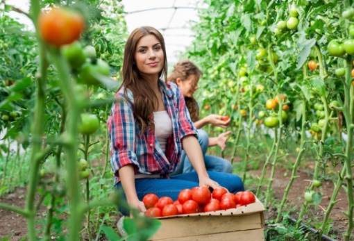 «Κλειδί» για την ανάπτυξη της υπαίθρου και της αγροτικής οικονομίας η Ελληνίδα αγρότισσα