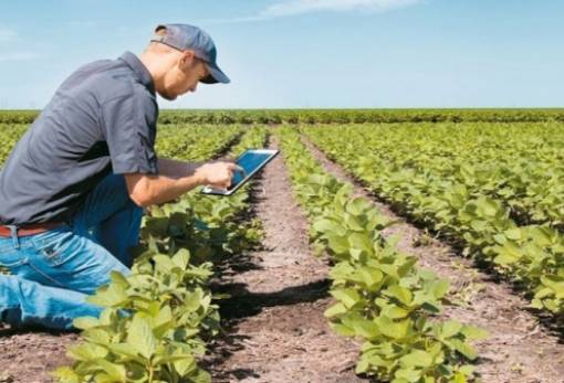 Γεωργία ακριβείας υπόσχεται «ευφορία» στην πελοποννησιακή γη