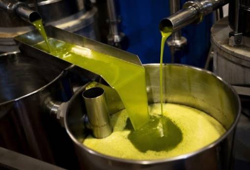 Εκτιμήσεις για παγκόσμια παραγωγή ελαιολάδου στο όριο των 2,8 εκατ. τόνων