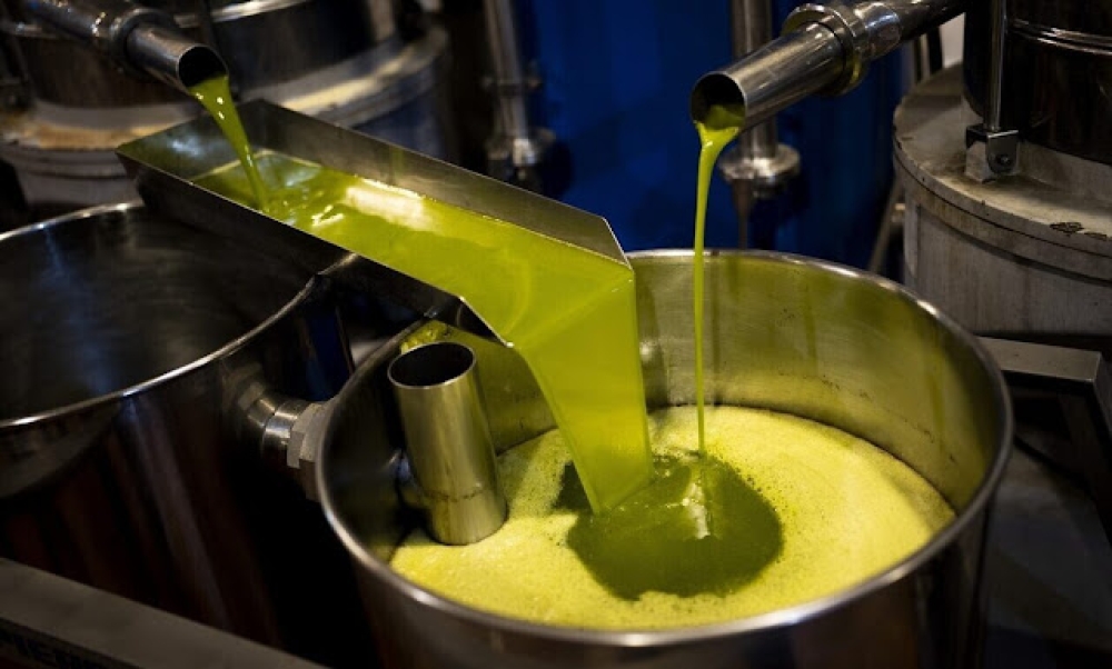 Εκτιμήσεις για παγκόσμια παραγωγή ελαιολάδου στο όριο των 2,8 εκατ. τόνων