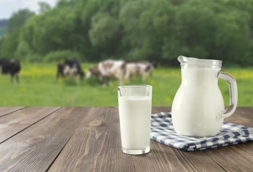 Αγελαδινό γάλα: Ισορροπεί η αγορά εν μέσω μειώσεων της παραγωγής