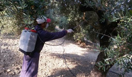 Έ&nu;&alpha;&rho;&xi;&eta; &psi;&epsilon;&kappa;&alpha;&sigma;&mu;ώ&nu; &delta;&alpha;&kappa;&omicron;&kappa;&tau;&omicron;&nu;ί&alpha;&sigmaf; &sigma;&epsilon; &Zeta;&alpha;&rho;&alpha;&phi;ώ&nu;&alpha; &kappa;&alpha;&iota; &Kappa;&alpha;&rho;ί&tau;&sigma;&alpha;