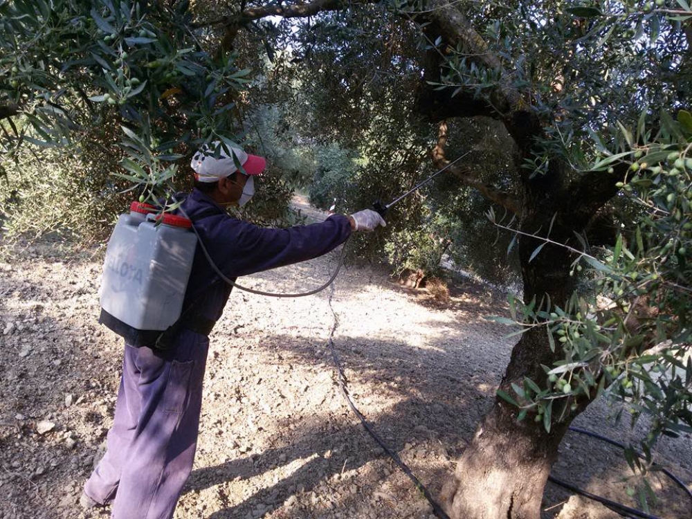 Έ&nu;&alpha;&rho;&xi;&eta; &psi;&epsilon;&kappa;&alpha;&sigma;&mu;ώ&nu; &delta;&alpha;&kappa;&omicron;&kappa;&tau;&omicron;&nu;ί&alpha;&sigmaf; &sigma;&epsilon; &Zeta;&alpha;&rho;&alpha;&phi;ώ&nu;&alpha; &kappa;&alpha;&iota; &Kappa;&alpha;&rho;ί&tau;&sigma;&alpha;