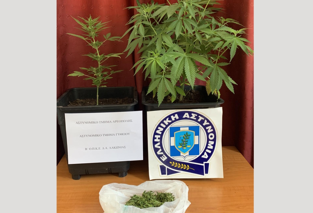 &Mu;&epsilon; &laquo;&phi;&omicron;ύ&nu;&tau;&alpha;&raquo; &kappa;&alpha;&iota; &delta;&epsilon;&nu;&delta;&rho;ύ&lambda;&lambda;&iota;&alpha; &pi;&iota;ά&sigma;&tau;&eta;&kappa;&epsilon; ά&nu;&delta;&rho;&alpha;&sigmaf; &sigma;&tau;&eta; &Mu;ά&nu;&eta;