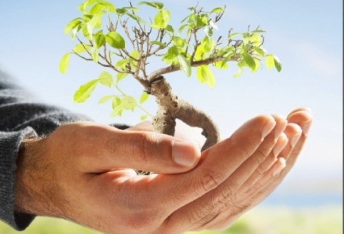 Συνέδριο για την προστασία των εδαφών από τη διάβρωση