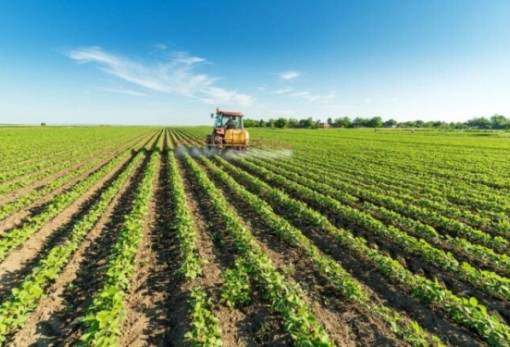 ΥΠΑΑΤ: Έως 31/5 οι αιτήσεις των γεωργών για τη δράση «Μείωση της ρύπανσης νερού»