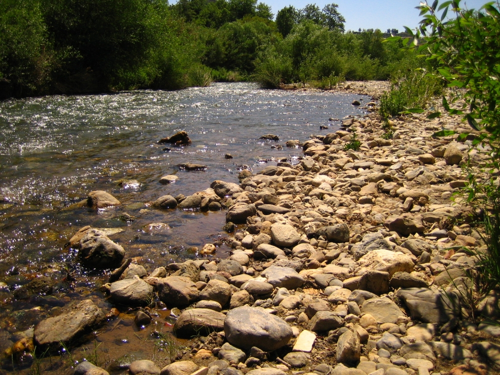 Πέντε στοιχήματα για τον Ευρώτα