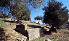 &Lambda;&alpha;&kappa;έ-&Delta;&alpha;&iota;&mu;&omicron;&nu;&iota;&kappa;ά: &Tau;&omicron; &sigma;&tau;&omicron;&iota;&chi;&epsilon;&iota;ό &tau;&omicron;&upsilon; &lambda;ό&phi;&omicron;&upsilon; &tau;&eta;&sigmaf; &Alpha;&gamma;ί&alpha;&sigmaf; &Kappa;&upsilon;&rho;&iota;&alpha;&kappa;ή&sigmaf;