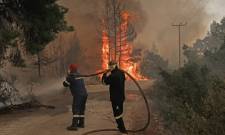 &Tau;&rho;&alpha;&gamma;&iota;&kappa;ό&sigmaf; &omicron; &alpha;&pi;&omicron;&lambda;&omicron;&gamma;&iota;&sigma;&mu;ό&sigmaf; &tau;&omega;&nu; &phi;&epsilon;&tau;&iota;&nu;ώ&nu; &pi;&upsilon;&rho;&kappa;&alpha;&gamma;&iota;ώ&nu; &sigma;&epsilon; &alpha;&nu;&theta;&rho;ώ&pi;&iota;&nu;&epsilon;&sigmaf; &kappa;&alpha;&iota; &pi;&epsilon;&rho;&iota;&beta;&alpha;&lambda;&lambda;&omicron;&nu;&tau;&iota;&kappa;έ&sigmaf; &alpha;&pi;ώ&lambda;&epsilon;&iota;&epsilon;&sigmaf;